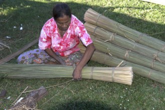 Thailand, Patthalung, Tale noi, Sorting, Separation and Tying up of the dried grey rushes or sedges