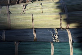 Thailand, Patthalung, Tale noi, Rollers of prepared grey rushes or sedges, dried, put in color and