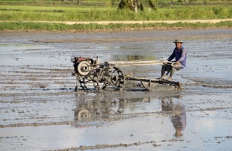 Southern Thailand, Farmer ride rice tractor for preparing the ground for rice plantation