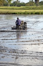 Southern Thailand, Farmer ride rice tractor for preparing the ground for rice plantation