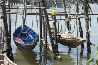 Thailand, Songkhla, Koh Yo, Aquacultural farm, Freshwater fish farming, Long-tailed boats out of