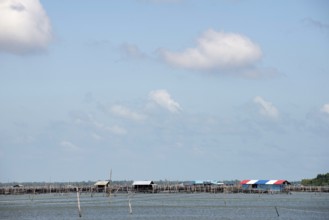 Thailand, Songkhla, Koh Yo, Aquacultural farm, Freshwater fish farming