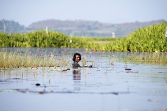 Thailand, Fisherman with net in the water // Fisherman, net, water, Pêche, Thaïland