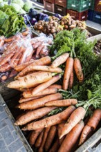 Feira de produtos orgânicos da Lagoa da Conceição, que ocorre todos os sábados, das 7:00 às 12:00,