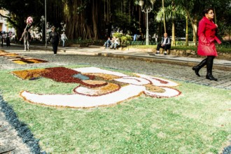 Decorated streets for the Corpus Christi Procession. Florianopolis, Santa Catarina, Brazil