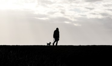 Man with dog walking across a dike on the Baltic Sea, Fehmarn, 16.10.2025, Fehmarn,