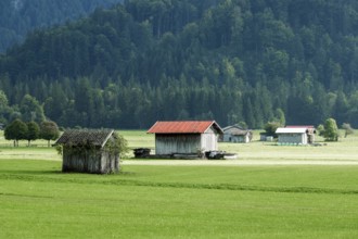 Wooden cabinn auf Wiesen, Oberstdorf, Oberallgäu, Allgäu, Bavaria, Germany
