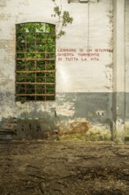 Dilapidated interior wall with window and Italian lettering, surrounded by wild nature and signs of