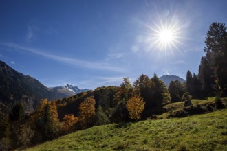 Autumn landscape in Stillachtal, back light, Oberstdorf, Oberallgäu, Allgäu, Bavaria, Germany