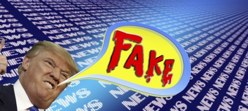 Symbolic image, Trump and fake news, USA, democracy by storm, freedom, individuality, social