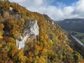View of autumn-colored beech forest with distinctive limestone cliffs in the upper Danube Valley,
