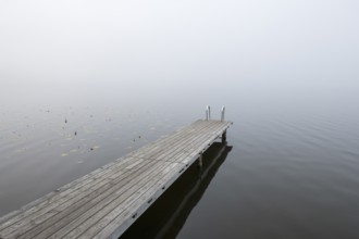 Empty wooden walkway in the misty water of a calm lake, Hopfensee, Ostallgäu, Bavaria, Germany