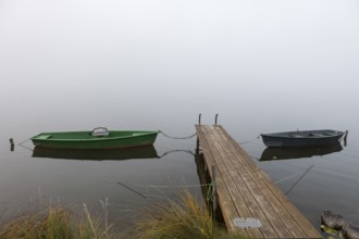 Two boats next to a wooden pier in a foggy, quiet autumn landscape, Hopfensee, Ostallgäu, Bavaria,