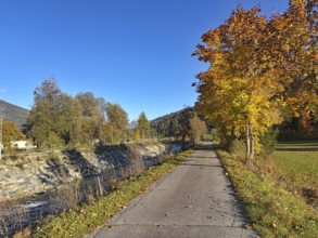 Autumn trail along a river, lined with colorful trees, Drau cycle path, Drava, South Tyrol, Italy