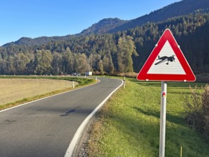 A country road with a warning sign for sailing leagues, under clear skies, surrounded by forests