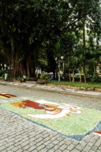 Decorated streets for the Corpus Christi Procession. Florianopolis, Santa Catarina, Brazil