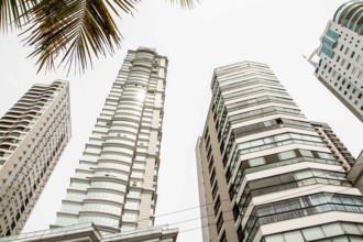 The Millennium Palace is the highest building in Brazil, with 46 floors and 177 meters high. It is