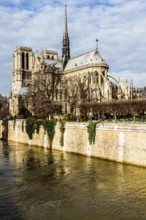 Notre Dame Cathedral (Cathedrale Notre Dame de Paris) viewed from Pont de l'Archeveche. Paris,