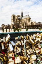 Love padlocks at Pont de l'Archeveche and Notre Dame Cathedral in the background. Paris, France. 02