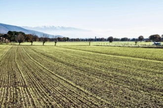 Rural landscape near the city of Assisi. Assisi, Province of Perugia, Italy. 22.12.2012