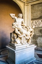 Sculpture Laocoön and His Sons, in Vatican Museum. Vatican City, Vatican City State. 28.12.2012