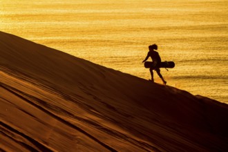 Silhouette of a sandboarder walking at sunset in Cerro Dragon, a sand dune located next to the city