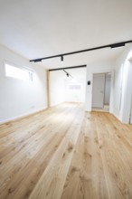 Light-flooded room with wide oak flooring and black track lights, clean lines, house renovation,