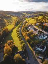 A road lined with autumn trees through green fields, Deufringen, Aidlingen, Böblingen district,
