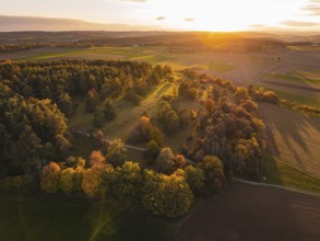 Autumn trees and fields in the golden light of sunset, taken from the air, Venusberg, Aidlingen,