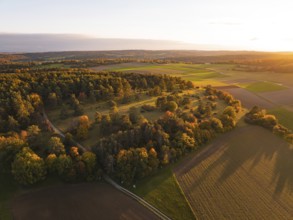 Extensive autumn landscape with trees and fields in warm sunset light, Venusberg, Aidlingen,