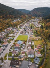 Aerial view of an elongated valley with autumnal foliage and urban development, Calmbach, Bad