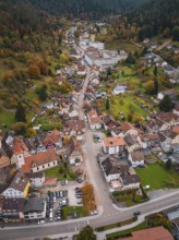 Aerial view of a city scene in a wooded mountain landscape with autumn colors, Calmbach, Bad