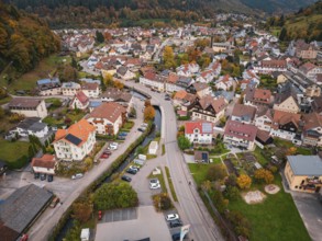 Bird's-eye view of the city center with various buildings, roads and autumn trees, Calmbach, Bad