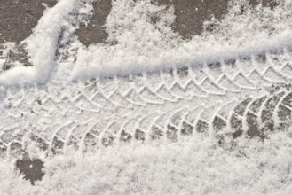 Wheel print in the fresh snow
