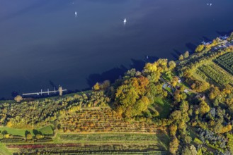 Aerial view, Segel Club Lake Baldeney e. V., autumnal trees on the shores of Lake Baldeney with