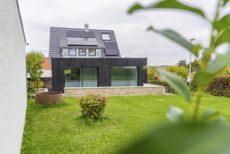 Modern extension with glass front on a green garden, framed by leaves in the foreground, quiet