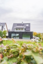Residential building with black extension and glass front between neighboring houses, autumnal