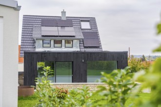 Modern house extension with glass front and solar panels, framed by plants in the foreground, quiet