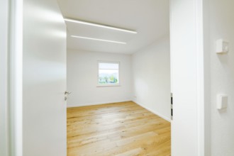 Empty, bright room with oak floor, white door and window, modern linear lights on the ceiling,