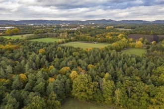 Sennestadt am Teutoburger Wald, Teutoburger-Wald mountain range, North Rhine-Westphalia, Germany