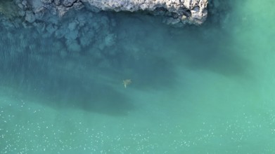 A rocky coast with its vegatation and inhabitants in Western Australia, photographed with a drone