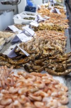 A stand selling fish at a market. Beautifully presented and shelved Fish buyers at Mercado Central
