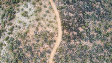 A winding path through the Australian outback, photographed with a drone