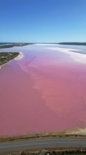 Pink lake next to the xoast, divided by streams and streets, photograped with a drone
