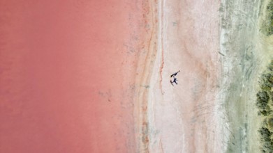 Two people standing at the shoreline of a pink lake, casting shadows, seen from above
