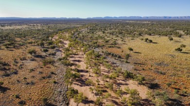 A dried out river bed in the Australian outback, photographed with a drone