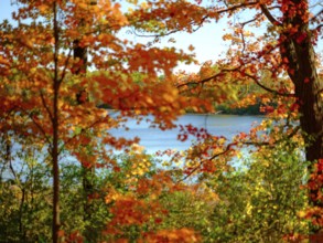 Vibrant autumn scene with colorful leaves framing a peaceful lake view in London, Ontario, Canada