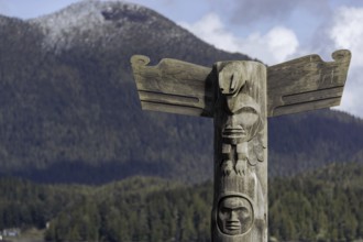 Wooden totem pole stands in front of scenic mountain and forest backdrop under a cloudy sky in