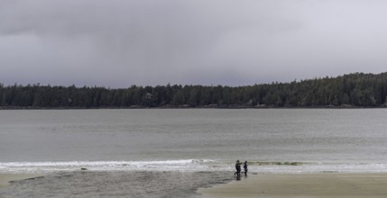Two people walk along the shoreline of a calm beach with distant trees in Tofino, British Columbia,