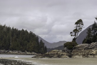 A quiet beach with hilly background and overcast sky, bordered by trees in Tofino, British